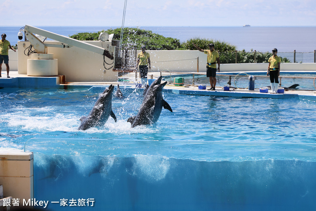 跟著 Mikey 一家去旅行 - 【 沖繩 】 美ら海水族館 - 海豚表演