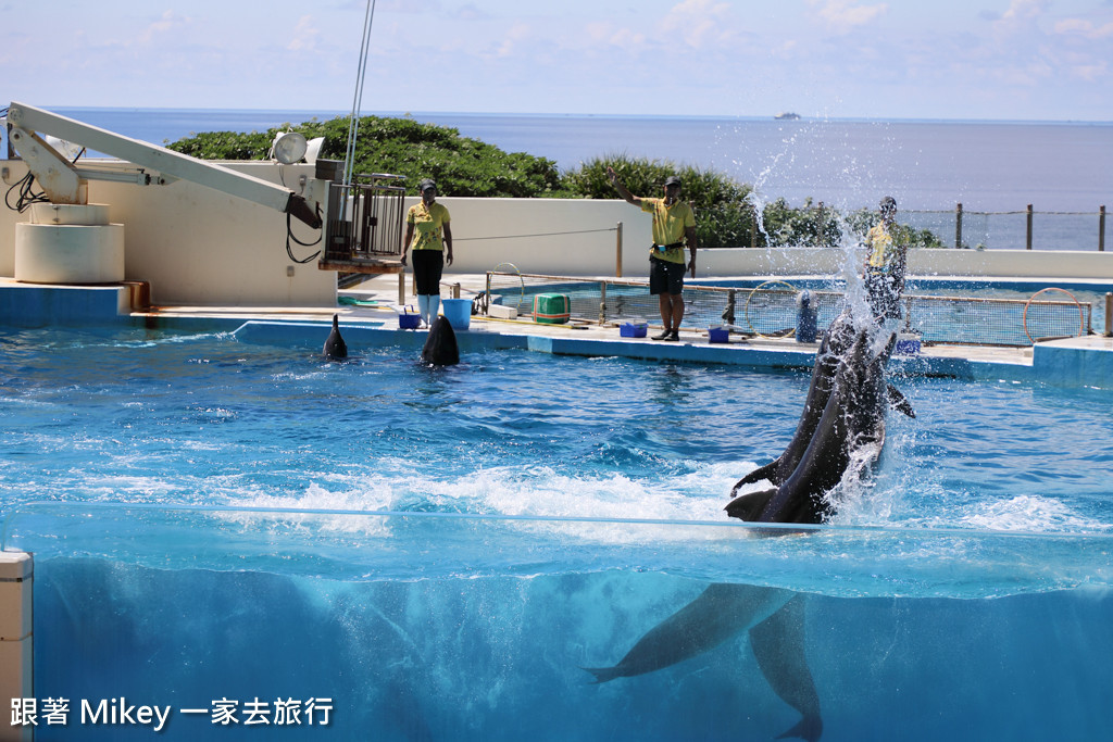 跟著 Mikey 一家去旅行 - 【 沖繩 】 美ら海水族館 - 海豚表演