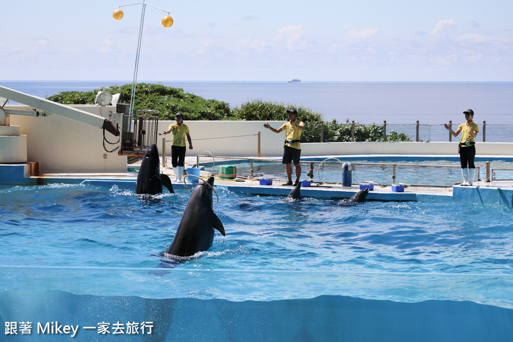 跟著 Mikey 一家去旅行 - 【 沖繩 】 美ら海水族館 - 海豚表演