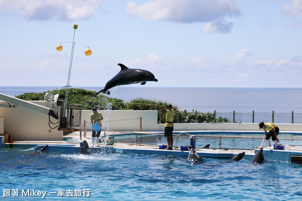 跟著 Mikey 一家去旅行 - 【 沖繩 】 美ら海水族館 - 海豚表演