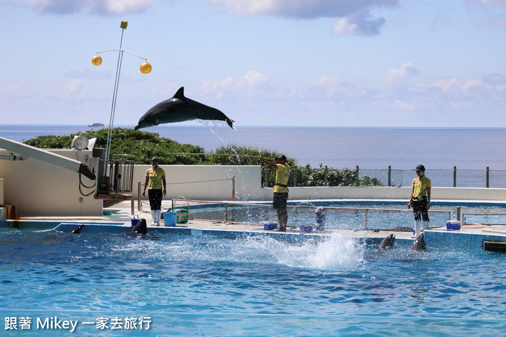 跟著 Mikey 一家去旅行 - 【 沖繩 】 美ら海水族館 - 海豚表演