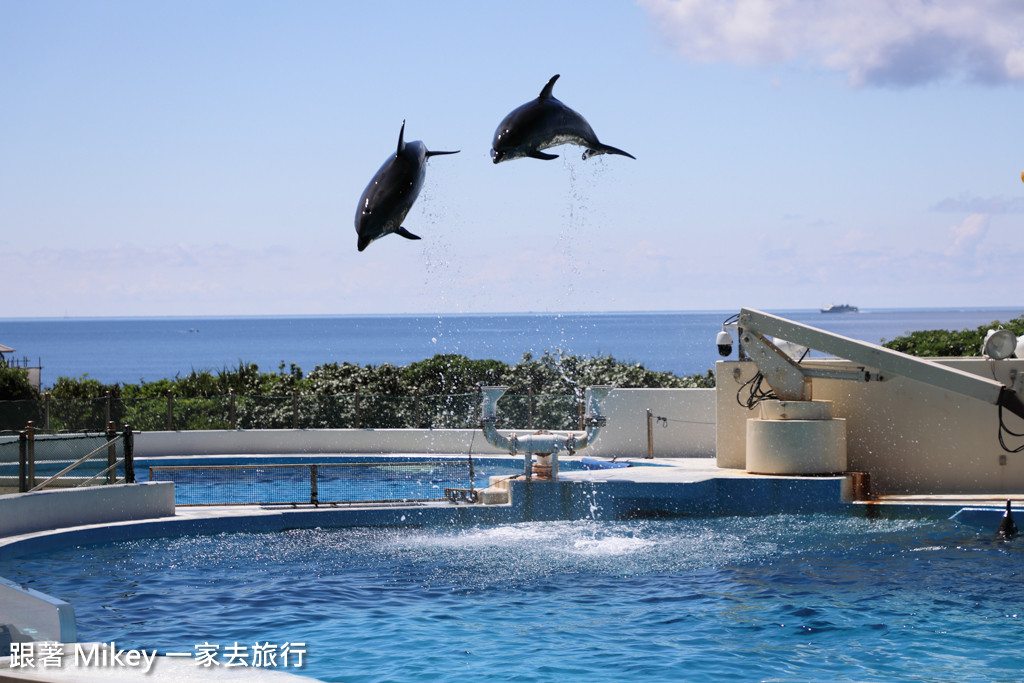 跟著 Mikey 一家去旅行 - 【 沖繩 】 美ら海水族館 - 海豚表演