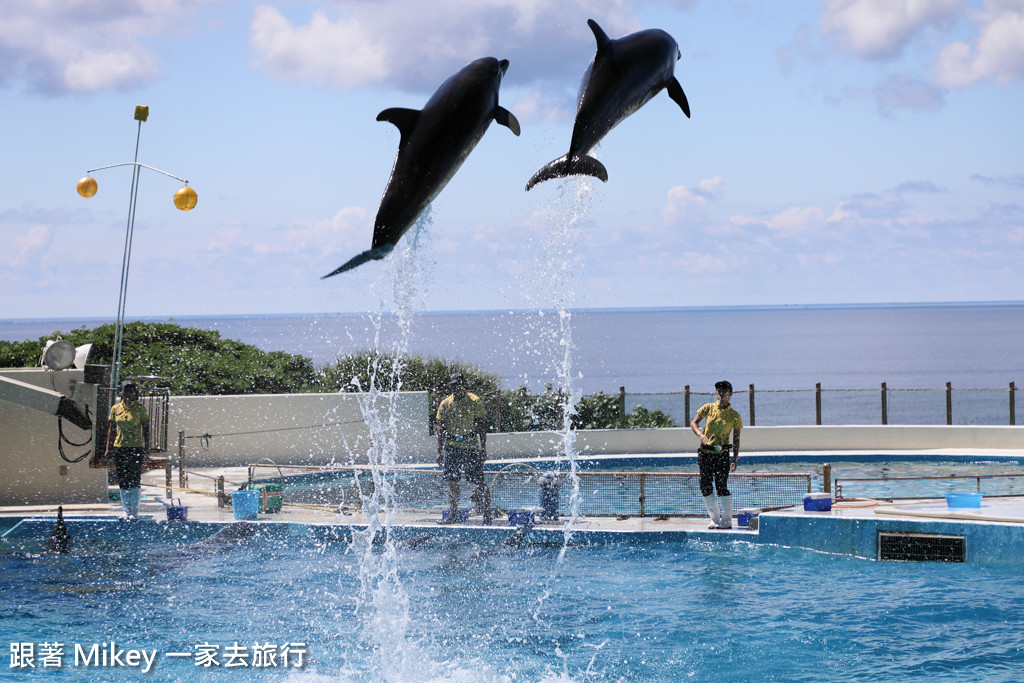 跟著 Mikey 一家去旅行 - 【 沖繩 】 美ら海水族館 - 海豚表演