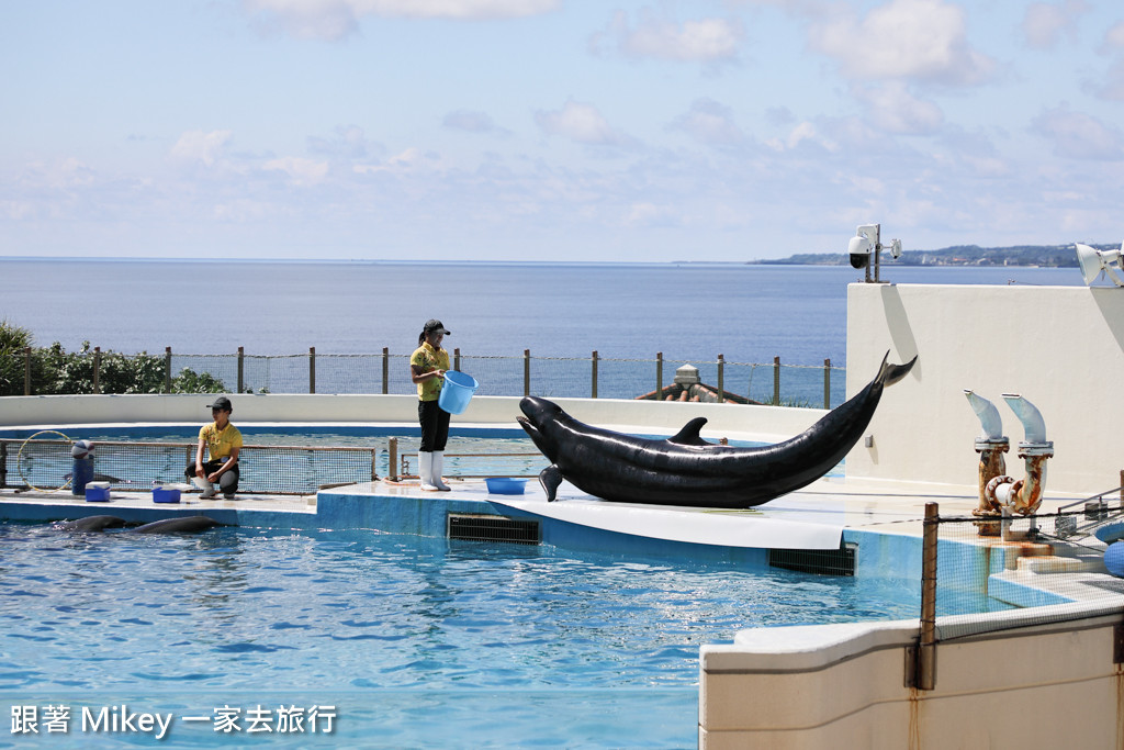 跟著 Mikey 一家去旅行 - 【 沖繩 】 美ら海水族館 - 海豚表演