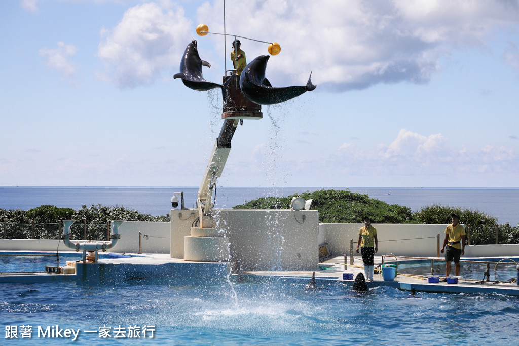 跟著 Mikey 一家去旅行 - 【 沖繩 】 美ら海水族館 - 海豚表演