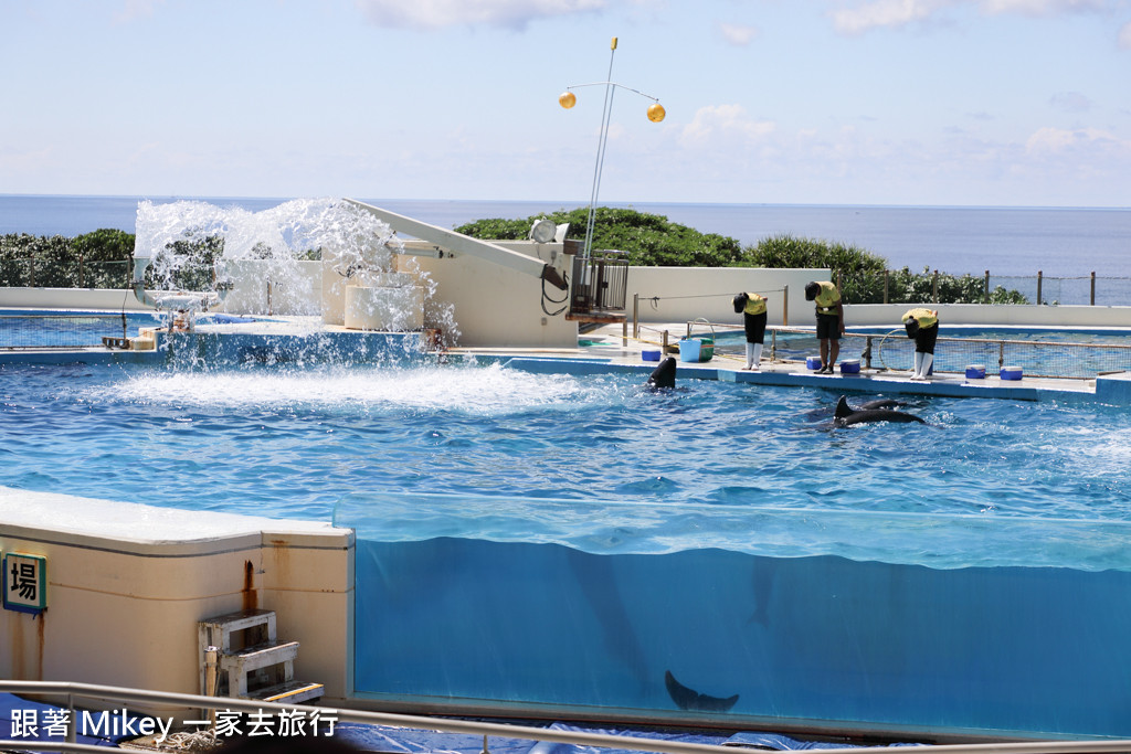 跟著 Mikey 一家去旅行 - 【 沖繩 】 美ら海水族館 - 海豚表演