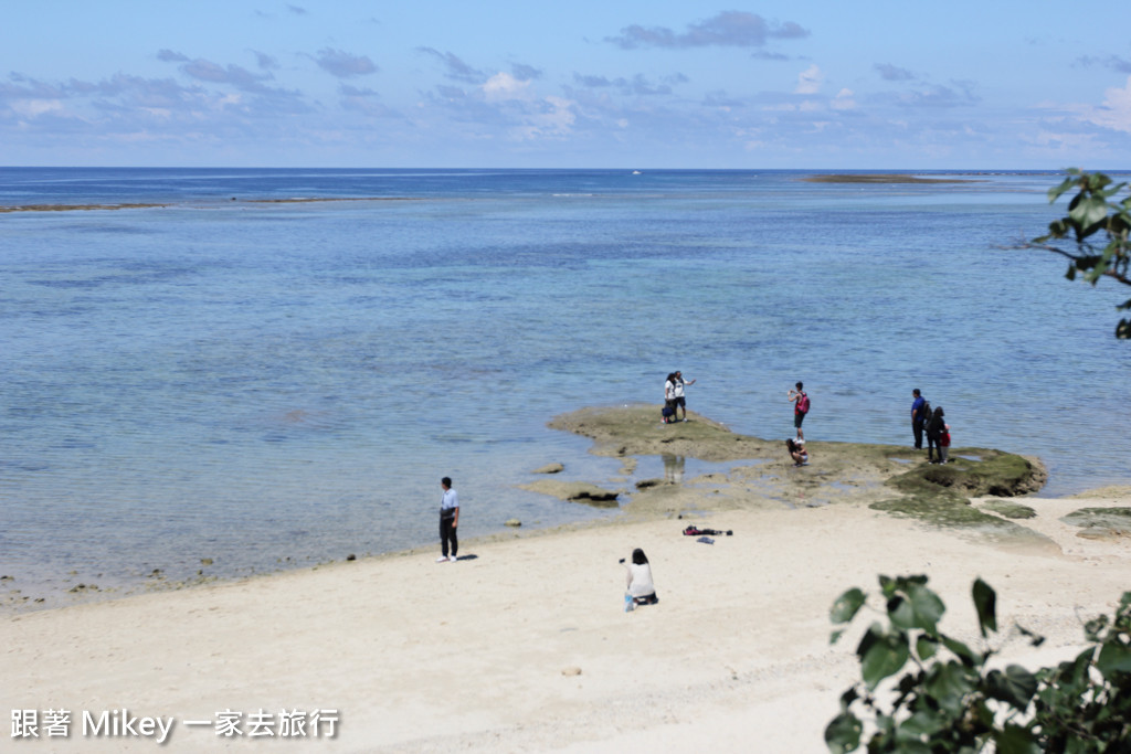 跟著 Mikey 一家去旅行 - 【 沖繩 】 美ら海水族館 - 海豚表演