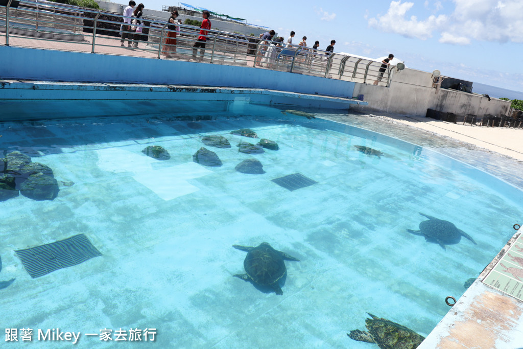 跟著 Mikey 一家去旅行 - 【 沖繩 】 美ら海水族館 - 海豚表演