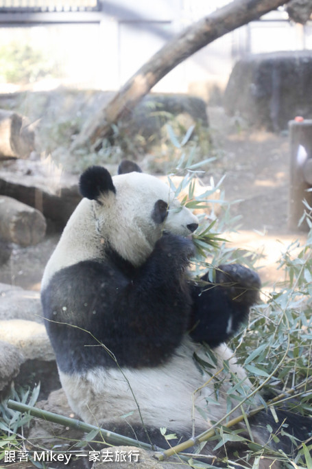 跟著 Mikey 一家去旅行 - 【 上野 】上野動物園 - Part I