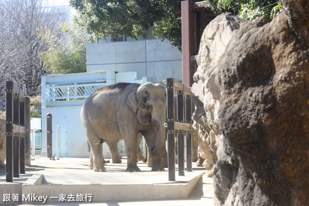 跟著 Mikey 一家去旅行 - 【 上野 】上野動物園 - Part I