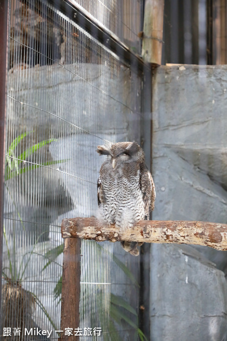 跟著 Mikey 一家去旅行 - 【 上野 】上野動物園 - Part I