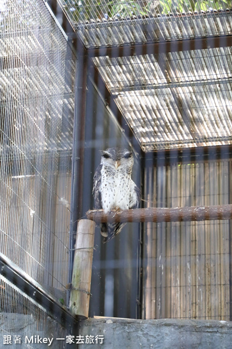 跟著 Mikey 一家去旅行 - 【 上野 】上野動物園 - Part I