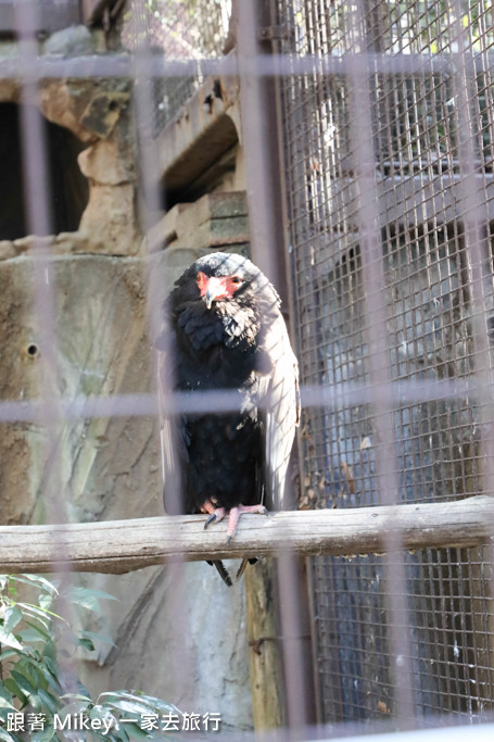 跟著 Mikey 一家去旅行 - 【 上野 】上野動物園 - Part I