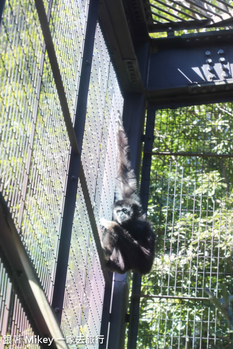 跟著 Mikey 一家去旅行 - 【 上野 】上野動物園 - Part I