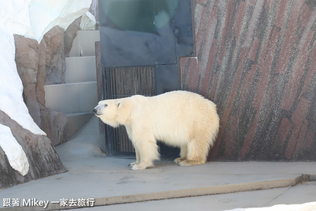 跟著 Mikey 一家去旅行 - 【 上野 】上野動物園 - Part I