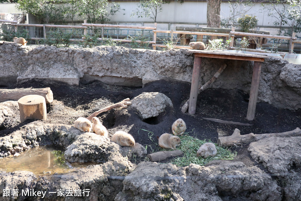 跟著 Mikey 一家去旅行 - 【 上野 】上野動物園 - Part I