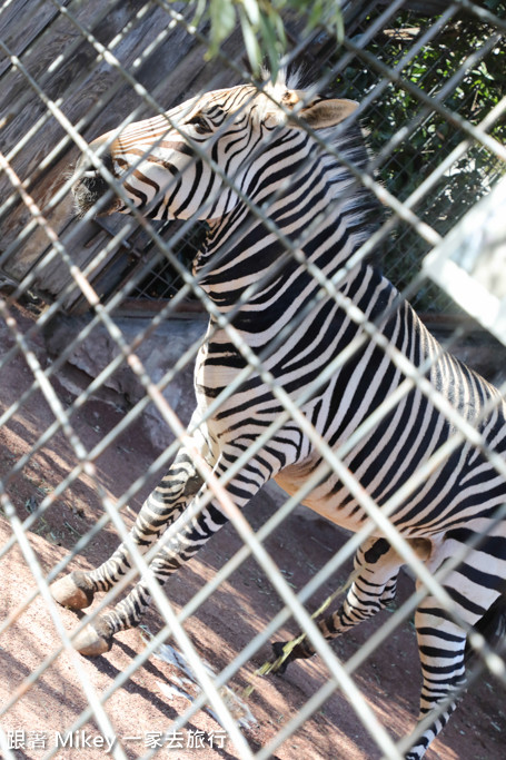 跟著 Mikey 一家去旅行 - 【 上野 】上野動物園 - Part II