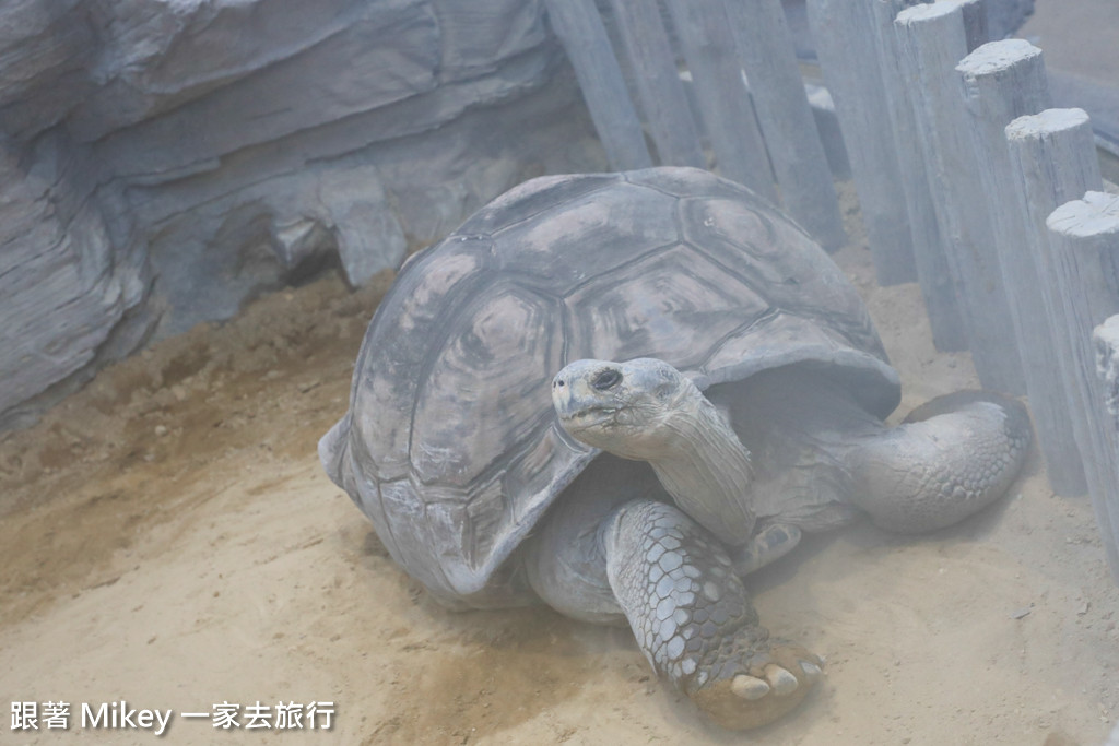 跟著 Mikey 一家去旅行 - 【 上野 】上野動物園 - Part II