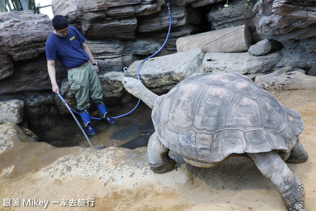 跟著 Mikey 一家去旅行 - 【 上野 】上野動物園 - Part II