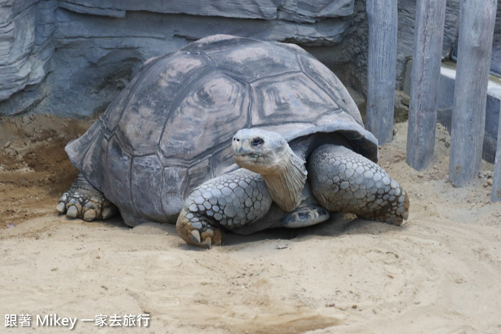 跟著 Mikey 一家去旅行 - 【 上野 】上野動物園 - Part II