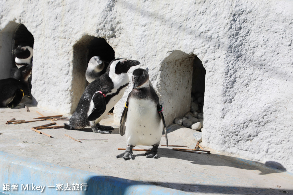 跟著 Mikey 一家去旅行 - 【 上野 】上野動物園 - Part II