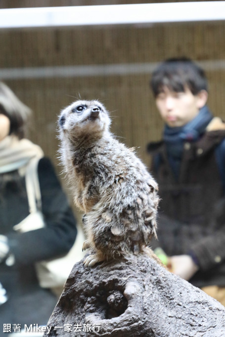 跟著 Mikey 一家去旅行 - 【 上野 】上野動物園 - Part II