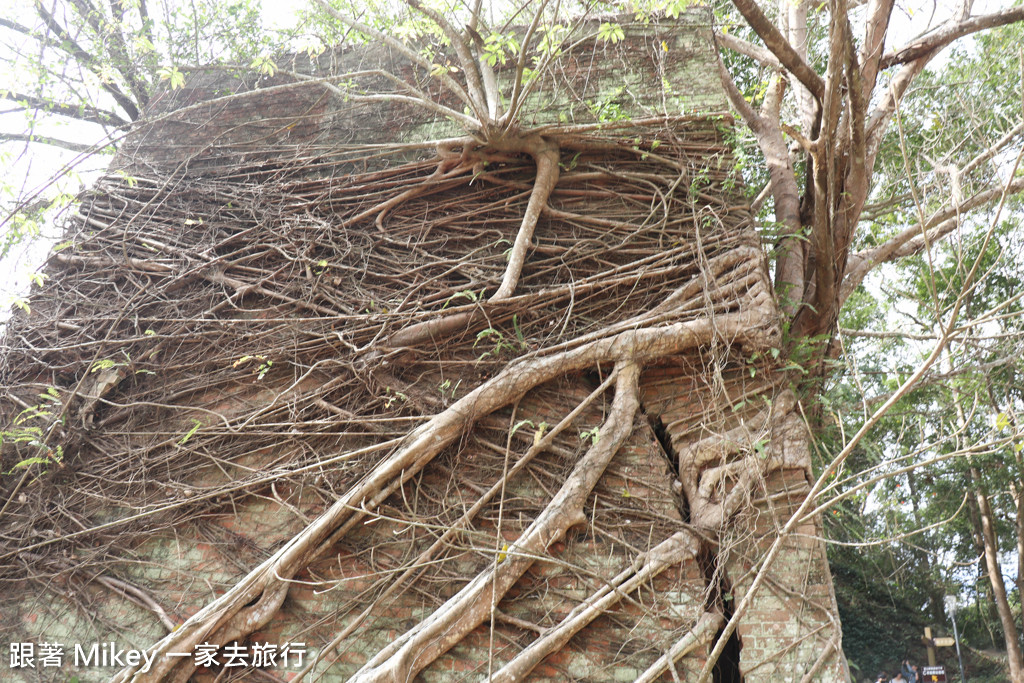 跟著 Mikey 一家去旅行 - 【 三義 】舊山線鐵道自行車