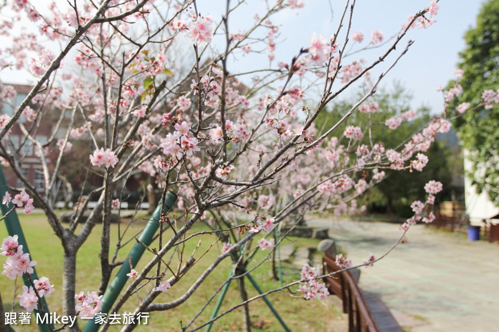 跟著 Mikey 一家去旅行 - 【 大湖 】Schokolake 巧克力雲莊 - 園區篇