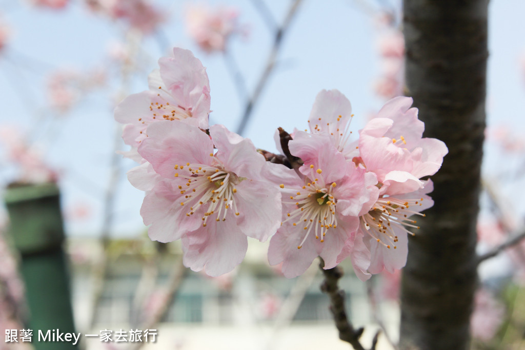 跟著 Mikey 一家去旅行 - 【 大湖 】Schokolake 巧克力雲莊 - 園區篇