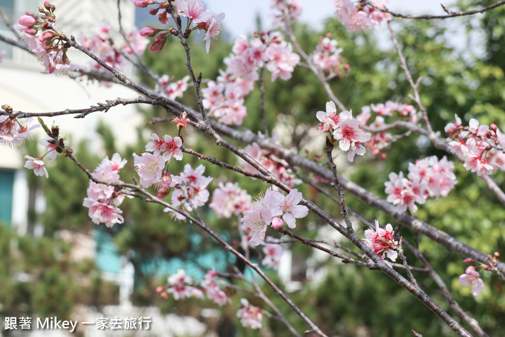 跟著 Mikey 一家去旅行 - 【 大湖 】Schokolake 巧克力雲莊 - 中餐篇