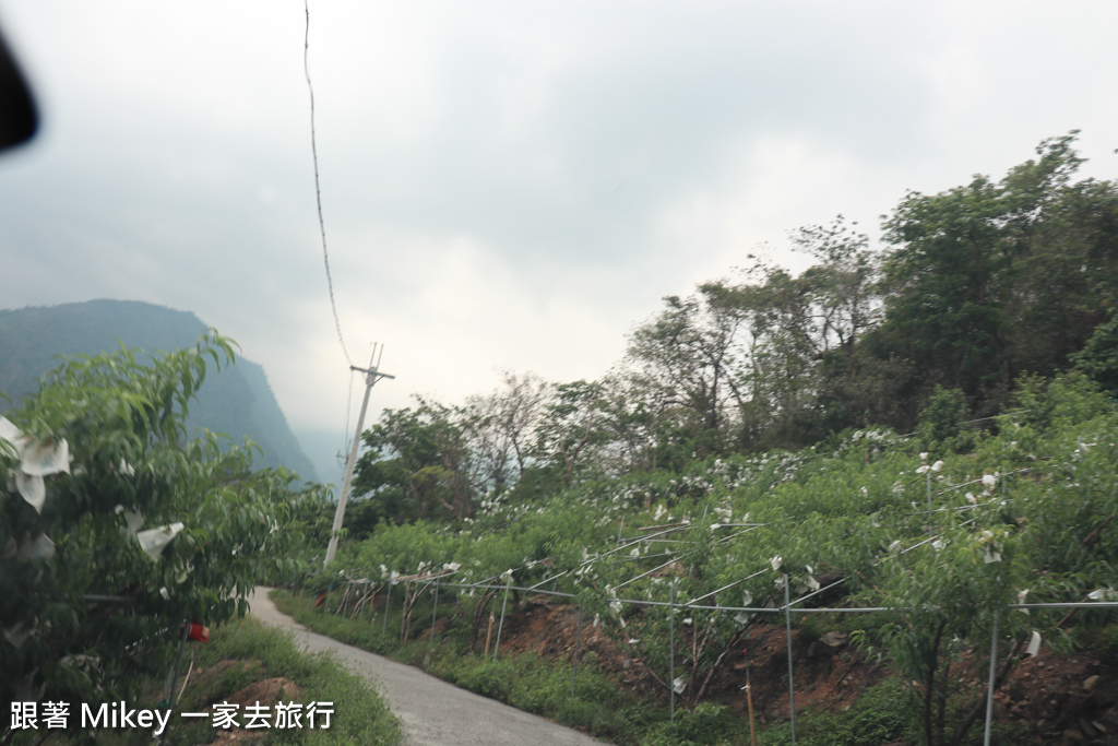 跟著 Mikey 一家去旅行 - 【 信義 】山裡面的嵐卡 - Part I