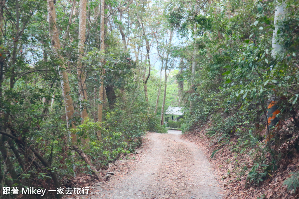 跟著 Mikey 一家去旅行 - 【 信義 】山裡面的嵐卡 - Part I