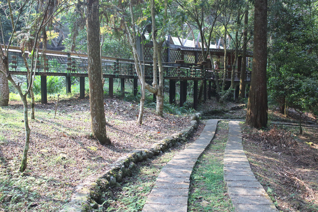 跟著 Mikey 一家去旅行 - 【 魚池 】日月潭蝴蝶園