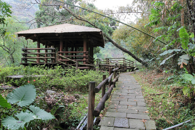 跟著 Mikey 一家去旅行 - 【 嘉義 】達娜伊谷自然生態公園