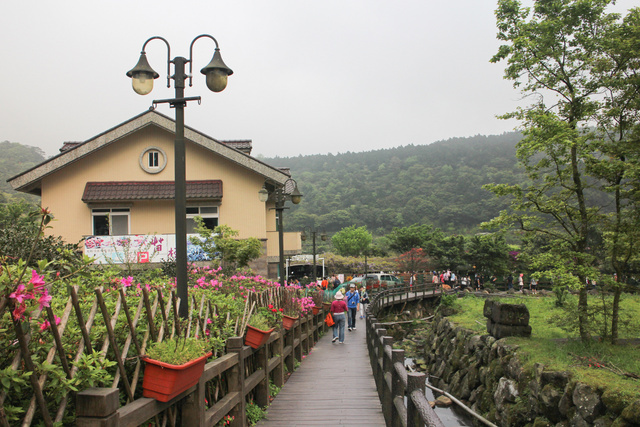 跟著 Mikey 一家去旅行 - 【 台北 】2013 竹子湖海芋季