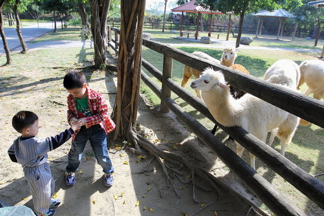 跟著 Mikey 一家去旅行 - 【 學甲 】頑皮世界野生動物園