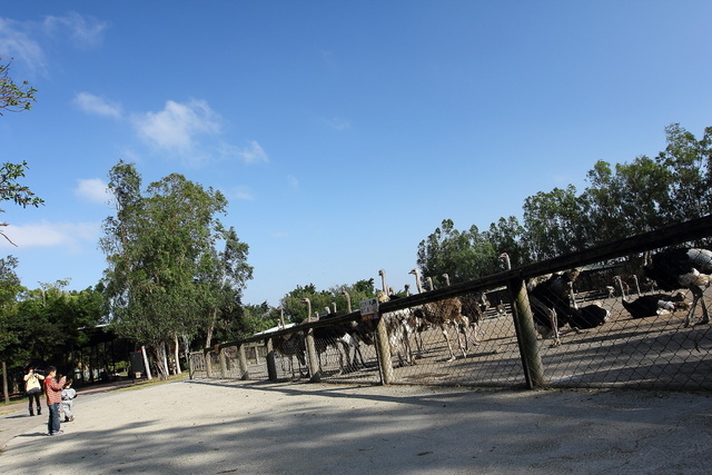 跟著 Mikey 一家去旅行 - 【 學甲 】頑皮世界野生動物園