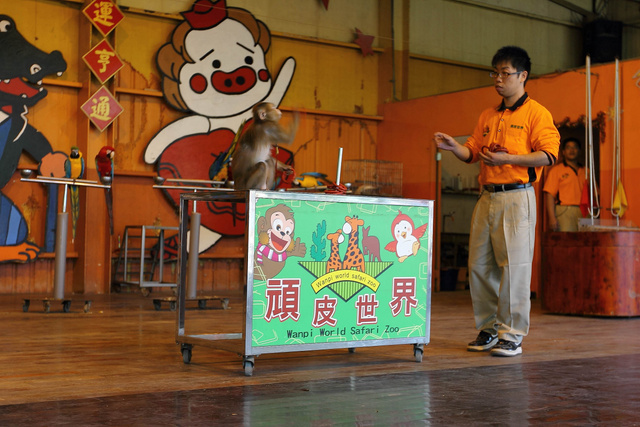 跟著 Mikey 一家去旅行 - 【 學甲 】頑皮世界野生動物園