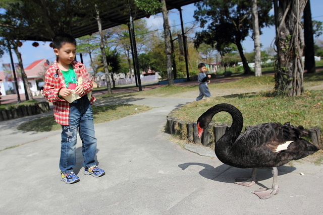 跟著 Mikey 一家去旅行 - 【 學甲 】頑皮世界野生動物園