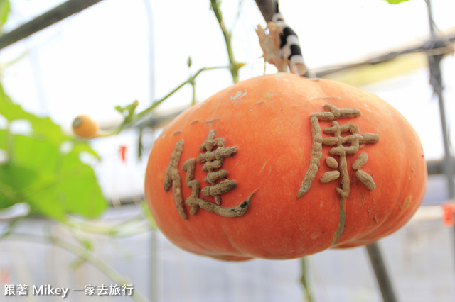 跟著 Mikey 一家去旅行 - 【 壯圍 】旺山休閒農場 - 南瓜王國 - 園區篇 - Part I