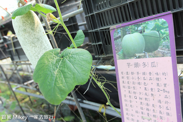 跟著 Mikey 一家去旅行 - 【 壯圍 】旺山休閒農場 - 南瓜王國 - 園區篇 - Part I