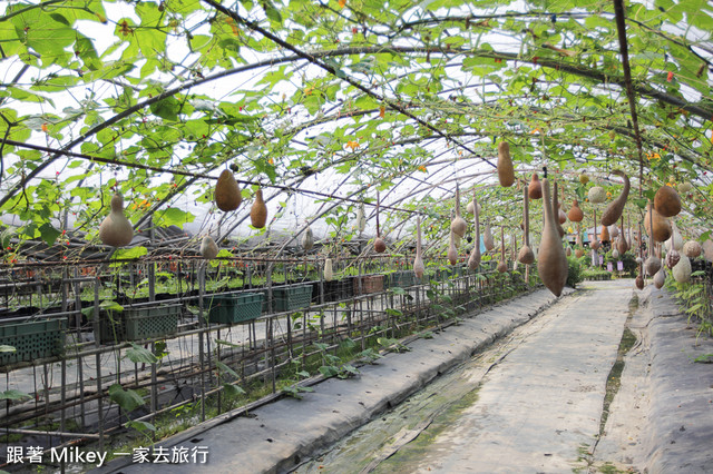 跟著 Mikey 一家去旅行 - 【 壯圍 】旺山休閒農場 - 南瓜王國 - 園區篇 - Part I