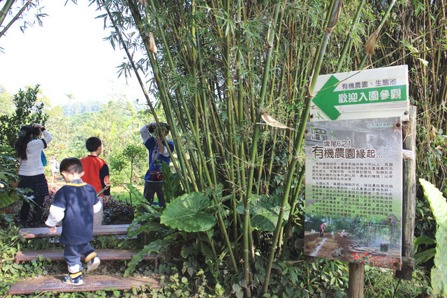 跟著 Mikey 一家去旅行 - 【 大溪 】大溪花海農場