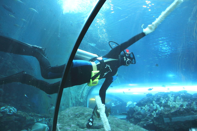 跟著 Mikey 一家去旅行 - 【 車城 】國立海洋生物博物館