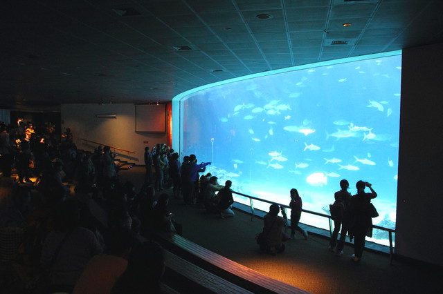 跟著 Mikey 一家去旅行 - 【 車城 】國立海洋生物博物館