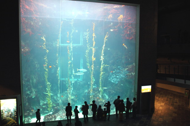 跟著 Mikey 一家去旅行 - 【 車城 】國立海洋生物博物館