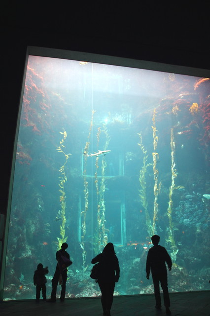 跟著 Mikey 一家去旅行 - 【 車城 】國立海洋生物博物館