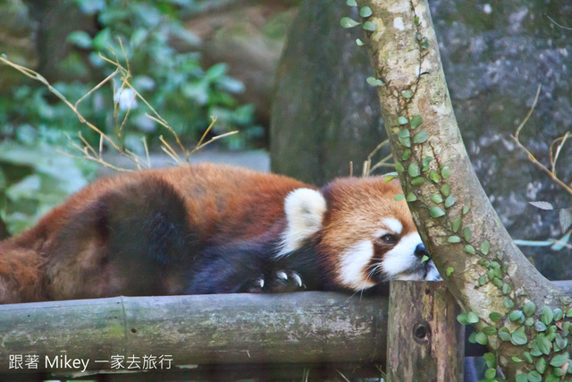 跟著 Mikey 一家去旅行 - 【 台北 】台北市立動物園