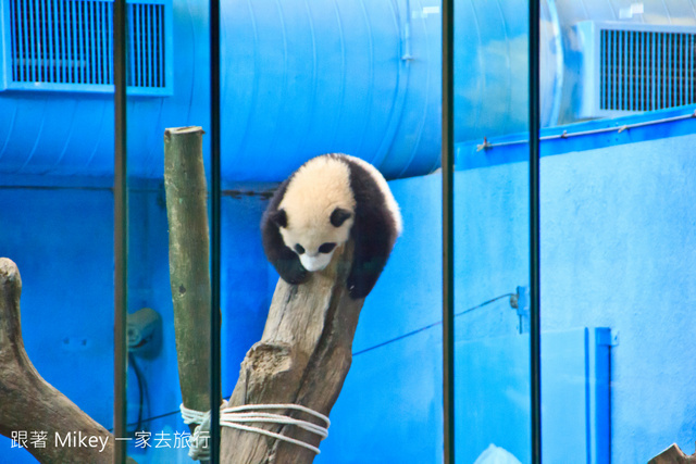 跟著 Mikey 一家去旅行 - 【 台北 】台北市立動物園