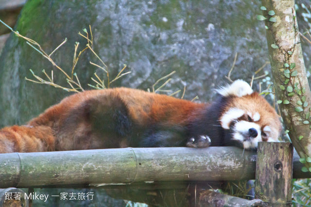 跟著 Mikey 一家去旅行 - 【 台北 】台北市立動物園